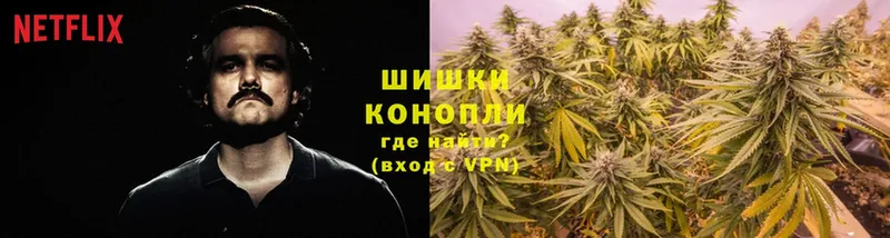 где можно купить наркотик  Новоуральск  omg как войти  Конопля White Widow 